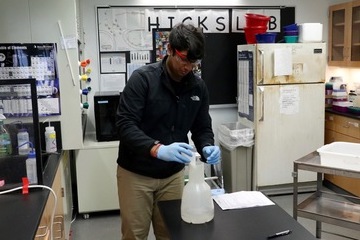 Tariq Hussain works in the Hicks Lab.